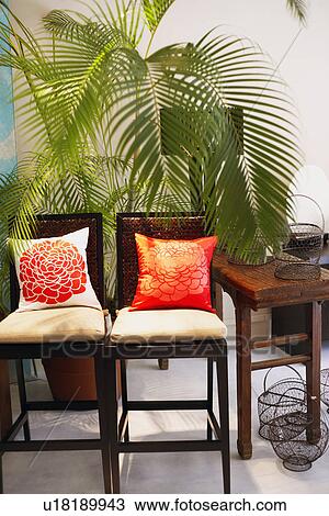 Chairs with cushions in front of a potted plant View Large Photo Image Stock Image - Chairs with cushions in front of a potted plant. Fotosearch