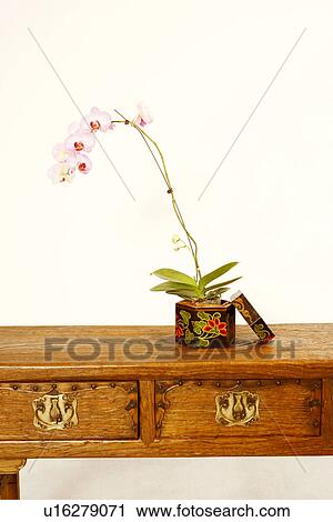 Stock Image - Close-up of a potted plant in a container on a wooden desk. Fotosearch