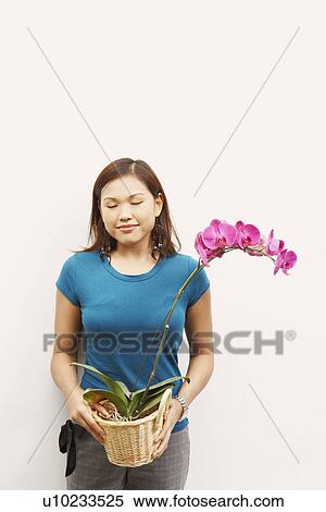Stock Photography - Close-up of a young woman holding a basket with a potted plant. Fotosearch