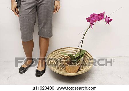 Low section view of a woman standing beside a potted plant View Large Photo Image Stock Photograph - Low section view of a woman standing beside a potted plant. Fotosearch
