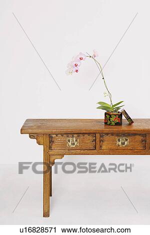 Stock Image - Potted plant in a container on a wooden desk. Fotosearch