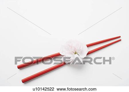 High angle view of a flower with a pair of chopsticks View Large Photo Image Stock Image - High angle view of a flower with a pair of chopsticks. Fotosearch