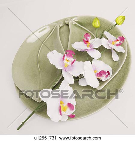Stock Image - High angle view of flowers in a plate. Fotosearch