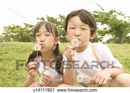 Photography of a girl and a boy blowing dandelions, Low Angle View View Large Photo Image Stock Photo - Photography of a girl and a boy blowing dandelions, Low Angle View. Fotosearch