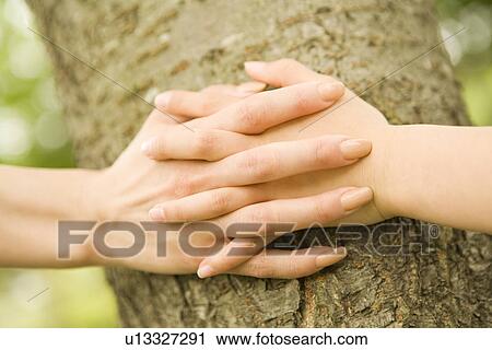 Photography of hands with crossed fingers, Close Up View Large Photo Image Stock Image - Photography of hands with crossed fingers, Close Up. Fotosearch