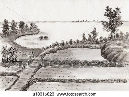 Drawing - Rice Fields, Ink Painting, Vignette, High Angle View. Fotosearch