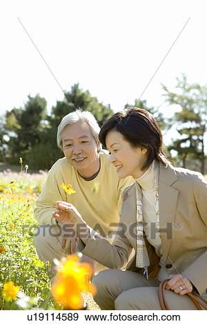 A Mature Couple Crouching and Looking at a Flower, Three Quarter Length View Large Photo Image Stock Photo - A Mature Couple Crouching and Looking at a Flower, Three Quarter Length. Fotosearch