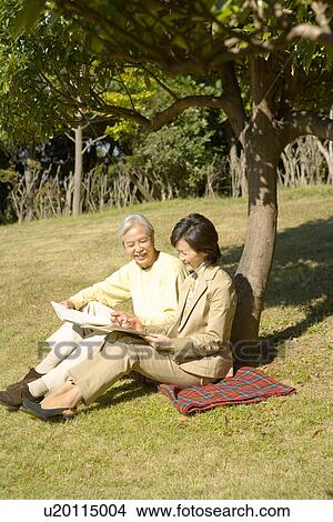 Picture - A Mature Couple Sitting by a Tree and Sketching, Full Length, High Angle View. Fotosearch