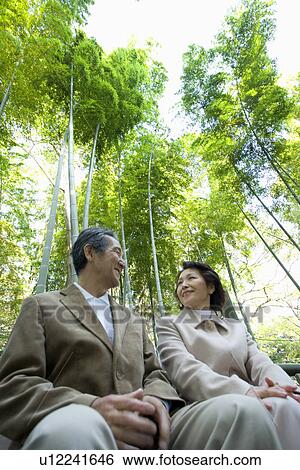 A Senior Adult Couple Sitting Together in a Bamboo Forest, Low Angle View View Large Photo Image Stock Photograph - A Senior Adult Couple Sitting Together in a Bamboo Forest, Low Angle View. Fotosearch