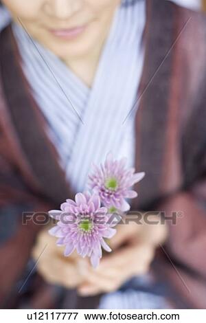 Mature Adult Woman in Yukata Holding Flowers, Front View, Differential Focus, High Angle View View Large Photo Image Stock Photo - Mature Adult Woman in Yukata Holding Flowers, Front View, Differential Focus, High Angle View. Fotosearch