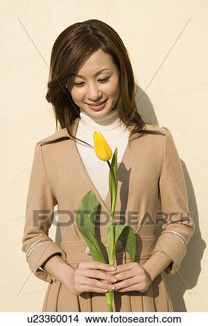 Portrait of a woman holding a yellow tulip, front view, pink background View Large Photo Image Picture - Portrait of a woman holding a yellow tulip, front view, pink background. Fotosearch