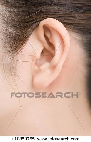 Close-up Image of A Young Woman's Ear, Front View View Large Photo Image Stock Photography - Close-up Image of A Young Woman's Ear, Front View. Fotosearch