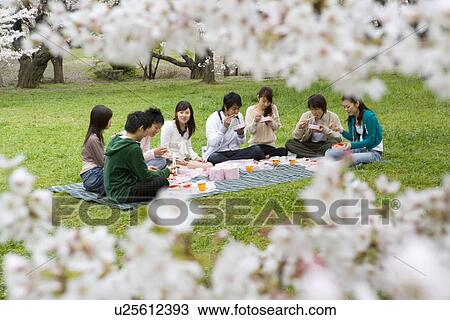Medium group of young people enjoying lunch surrounded with cherry blossoms, front view, side view, Japan, differential focus View Large Photo Image Stock Image - Medium group of young people enjoying lunch surrounded with cherry blossoms, front view, side view, Japan, differential focus. Fotosearch