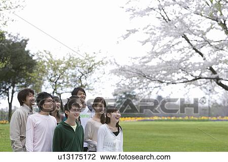 Medium group of young people looking at cherry blossoms, side view, Japan View Large Photo Image Stock Image - Medium group of young people looking at cherry blossoms, side view, Japan. Fotosearch