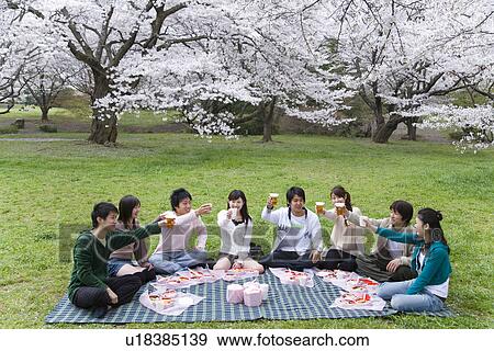 Medium group of young people toasting with glasses, surrounded with cherry blossoms, front view, side view, Japan View Large Photo Image Stock Photo - Medium group of young people toasting with glasses, surrounded with cherry blossoms, front view, side view, Japan. Fotosearch