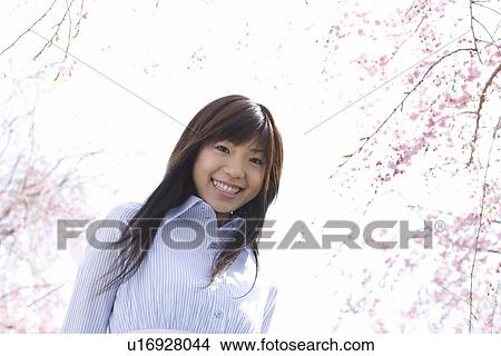 Picture - Portrait of a woman standing under the cherry tree, smiling and looking at camera, low angle view, white background, Japan. Fotosearch