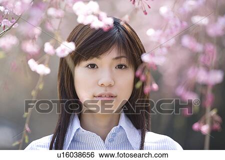 Portrait of a young woman standing under the cherry tree, looking at camera, front view, Japan View Large Photo Image Stock Photograph - Portrait of a young woman standing under the cherry tree, looking at camera, front view, Japan. Fotosearch