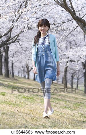 Stock Photography - Portrait of a young woman walking under the cherry trees, smiling and looking at camera, front view, Japan. Fotosearch