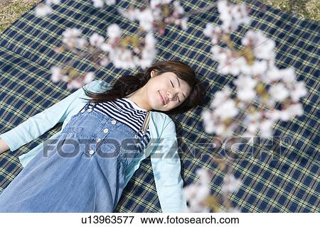 Woman lying on a sheet under the cherry tree, closing eyes, high angle view, Japan View Large Photo Image Stock Photo - Woman lying on a sheet under the cherry tree, closing eyes, high angle view, Japan. Fotosearch