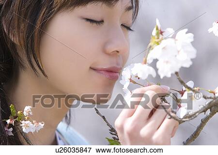 Stock Photo - Woman smelling cherry flowers, closing eyes, side view, close up, Japan. Fotosearch