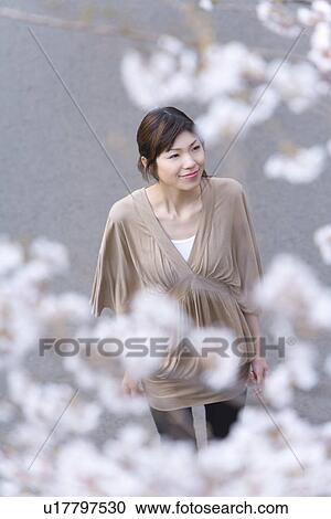 Woman smiling and standing under the cherry tree, high angle view, Japan View Large Photo Image Stock Image - Woman smiling and standing under the cherry tree, high angle view, Japan. Fotosearch