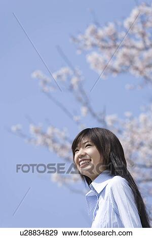 Stock Photo - Woman smiling and standing under the cherry tree, low angle view, side view, blue background, Japan. Fotosearch