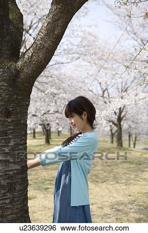 Woman standing under the cherry trees, side view, Japan View Large Photo Image Stock Photograph - Woman standing under the cherry trees, side view, Japan. Fotosearch