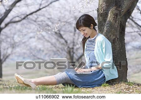 Stock Image - Woman using a laptop under the cherry tree, side view, Japan. Fotosearch