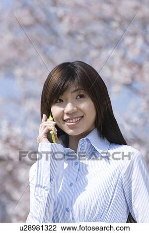 Stock Image - Woman using a mobile phone under the cherry tree, front view, Japan. Fotosearch