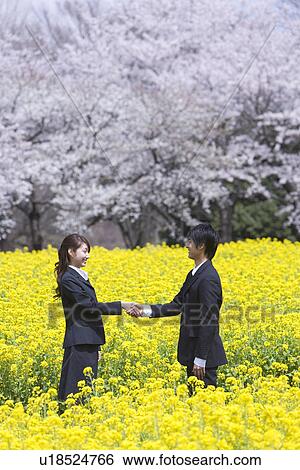 Stock Photograph - Young businessman and businesswoman shaking hands in rape field, side view, Japan. Fotosearch