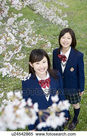 Stock Photography - Portrait of teenage girls standing under cherry trees, smiling and looking at camera, high angle view, Japan. Fotosearch
