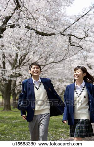 Teenage girl and boy walking pathway lined with cherry trees, front view, Japan View Large Photo Image Stock Image - Teenage girl and boy walking pathway lined with cherry trees, front view, Japan. Fotosearch