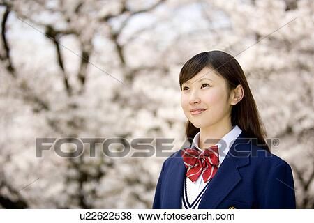 Stock Photo - Teenage girl standing under cherry trees, looking up, side view, Japan. Fotosearch