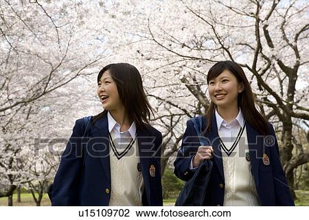 Stock Image - Teenage girls walking pathway lined with cherry trees, front view, Japan. Fotosearch