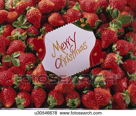 Christmas View Large Photo Image Stock Photo - Christmas. Fotosearch