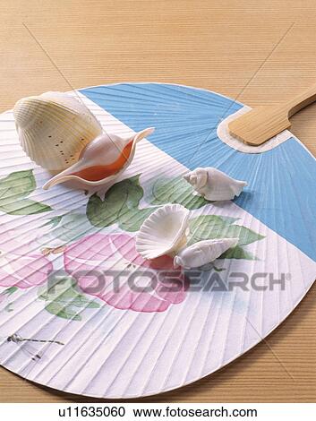 Stock Image - Summer, Fan, Shellfish Image. Fotosearch