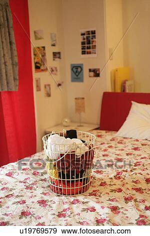 A basket full of clothes is kept on the bed View Large Photo Image Stock Photo - A basket full of clothes is kept on the bed. Fotosearch