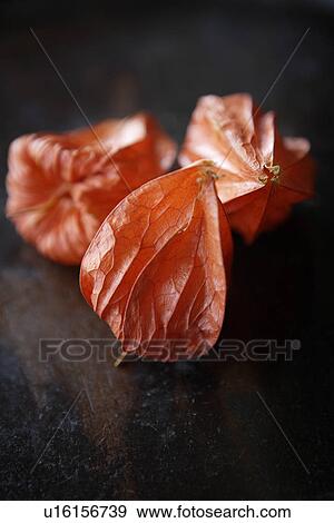 Stock Photo - Close-up of fruit in a plate. Fotosearch