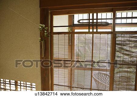 Picture - View of a plant near a window. Fotosearch