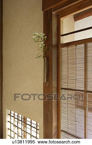 Stock Photography - View of a plant near a window. Fotosearch