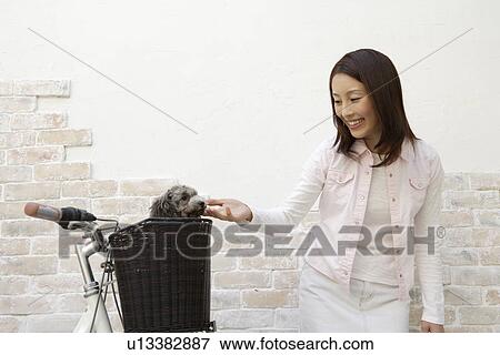 View of a young woman looking at a dog View Large Photo Image Stock Photo - View of a young woman looking at a dog. Fotosearch