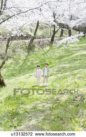 Stock Image - Boy and Girl Holding Hands Under Cherry Blossoms. Fotosearch