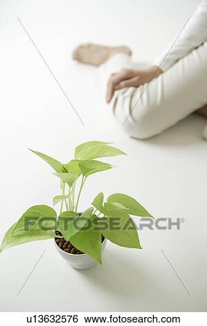 Woman's leg View Large Photo Image Stock Photograph - Woman's leg. Fotosearch