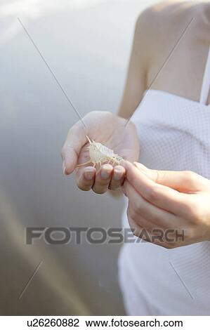 A young woman holding a shell View Large Photo Image Stock Image - A young woman holding a shell. Fotosearch