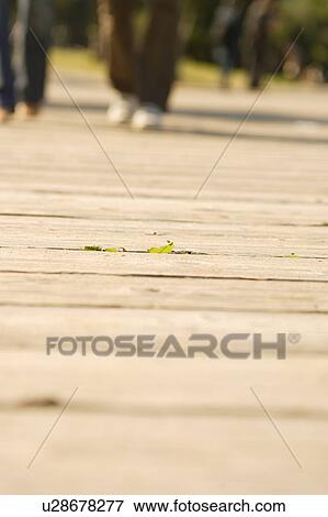 Stock Photo - Two women walking, unrecognizable person. Fotosearch