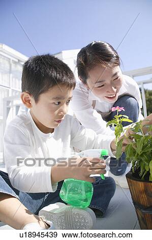 Stock Photo - Mother and son watering to potted plant. Fotosearch