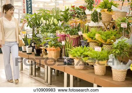 Stock Image - Young woman shopping at florist. Fotosearch