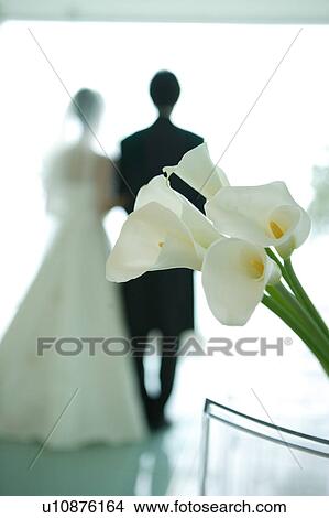 Rear view of bride and groom standing View Large Photo Image Picture - Rear view of bride and groom standing. Fotosearch