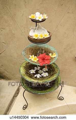 Picture - Bowls of flower petals. Fotosearch
