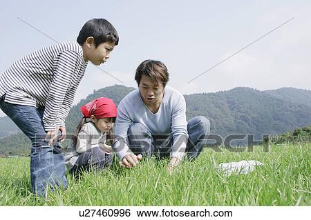 Family catching insects in meadow View Large Photo Image Stock Photograph - Family catching insects in meadow. Fotosearch